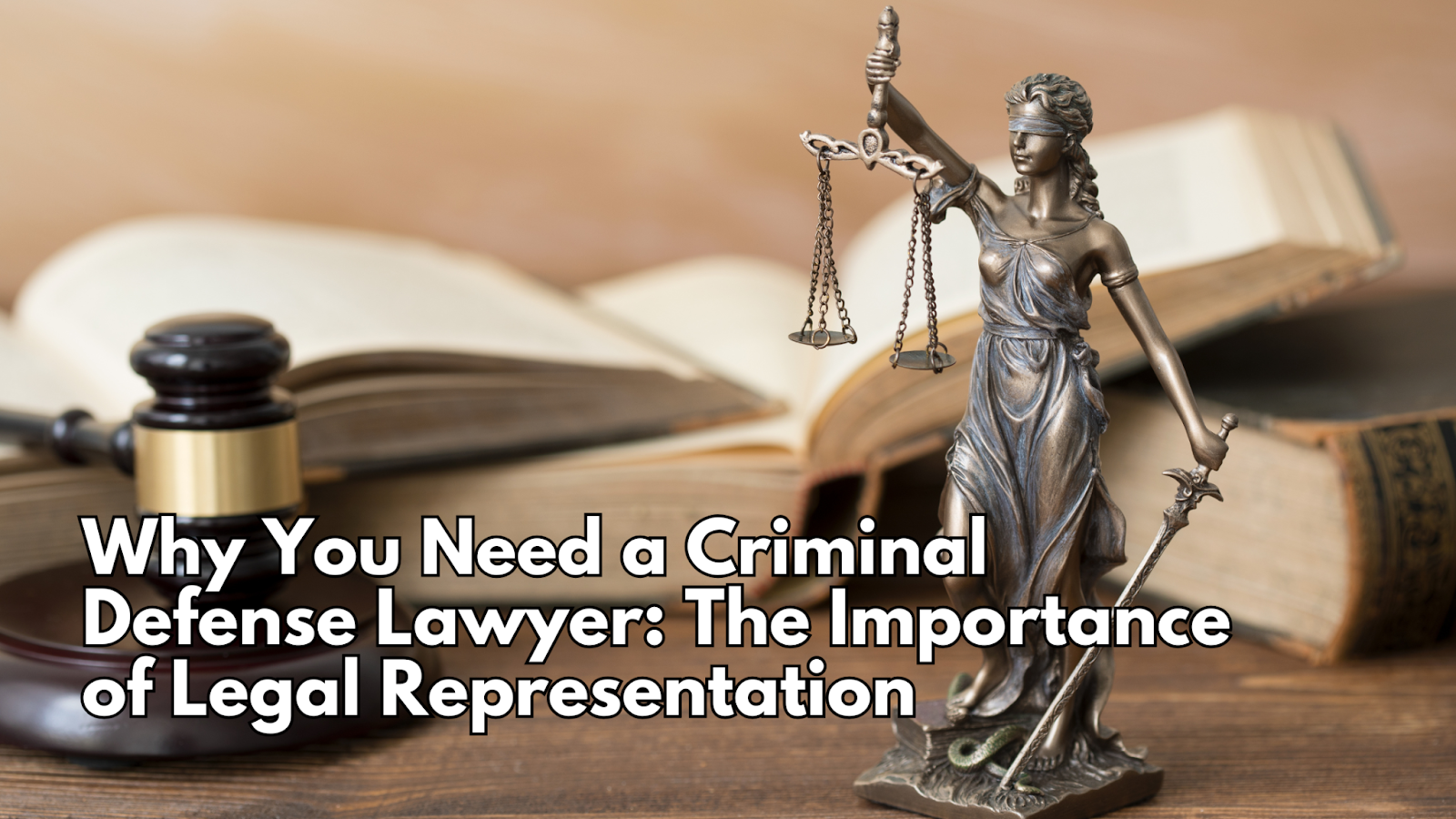 Criminal Defense Lawyer